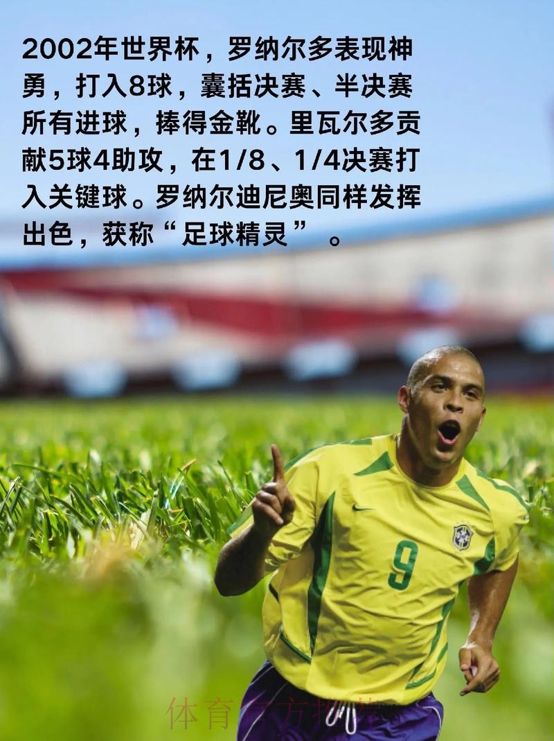 深入解析世界杯各球队比赛表现
